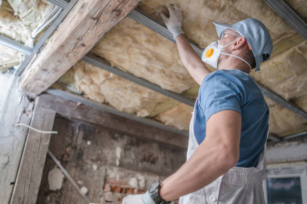 Best Crawl Space Insulation  in Kilmarnock, VA