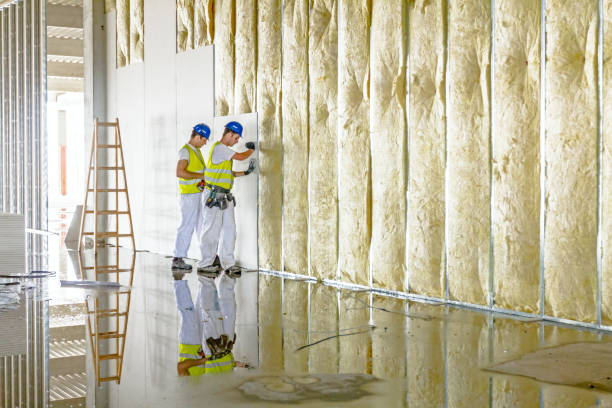 Best Home Insulation Services  in Kilmarnock, VA